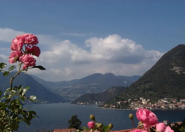 B&B Forsesiforseno